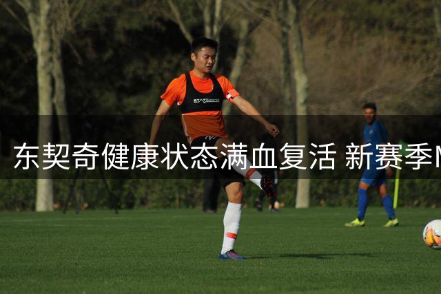东契奇健康状态满血复活 新赛季MVP预测榜却仅列第三