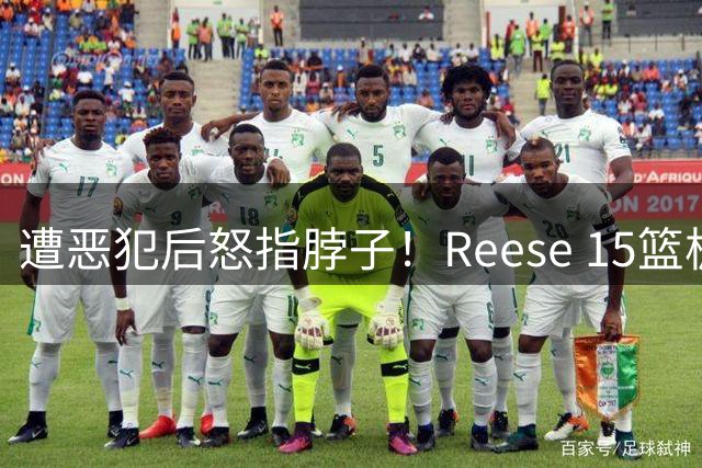 遭恶犯后怒指脖子！Reese 15篮板4盖帽率梦想队104比69大胜太阳